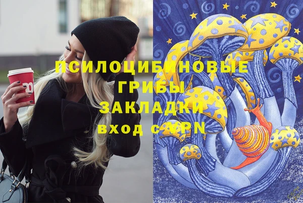 гашик Баксан