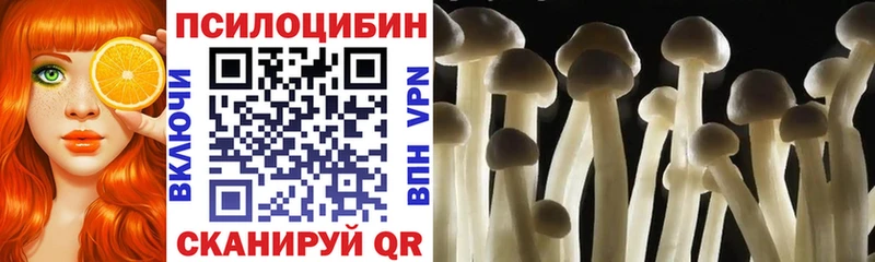 Галлюциногенные грибы MAGIC MUSHROOMS  наркошоп  Новая Ладога 