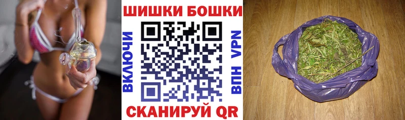 где купить наркоту  Новая Ладога  Шишки марихуана VHQ 